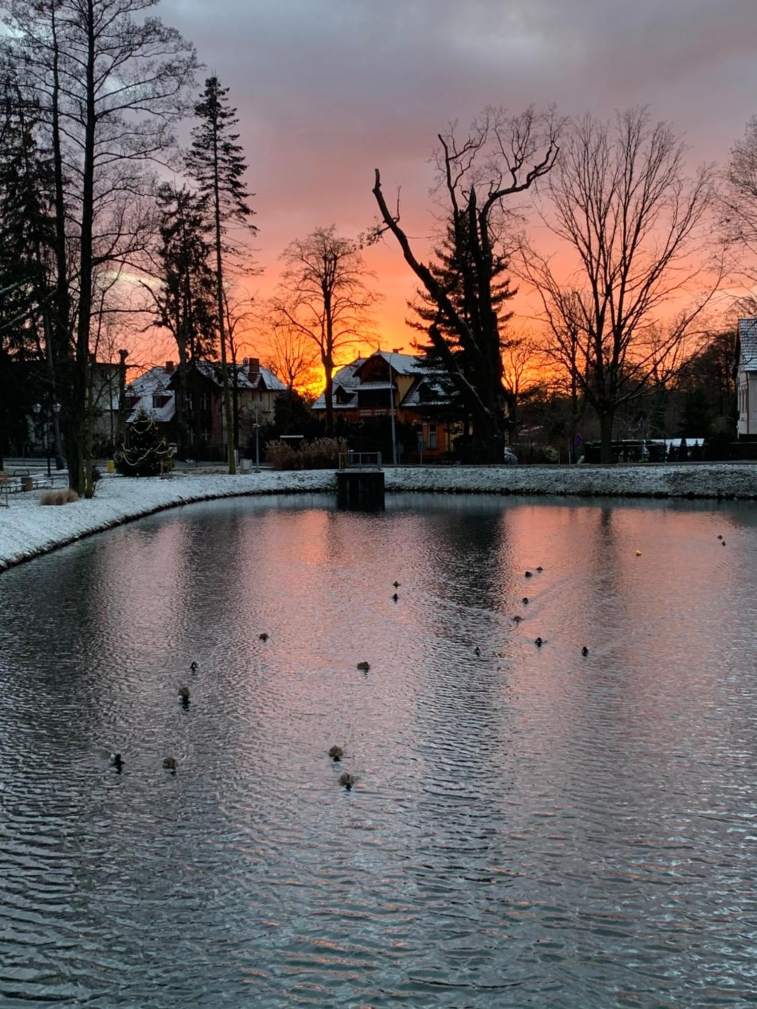 Villa Maria Rosaria Oborniki Śląskie المظهر الخارجي الصورة